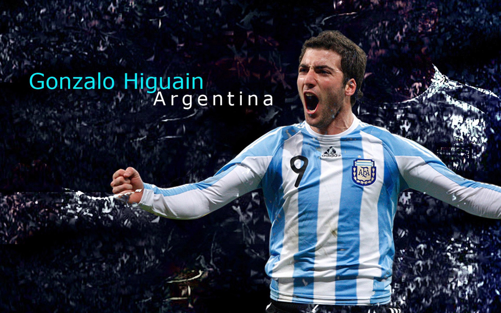 德甲激战，球迷表达支持，德甲现场