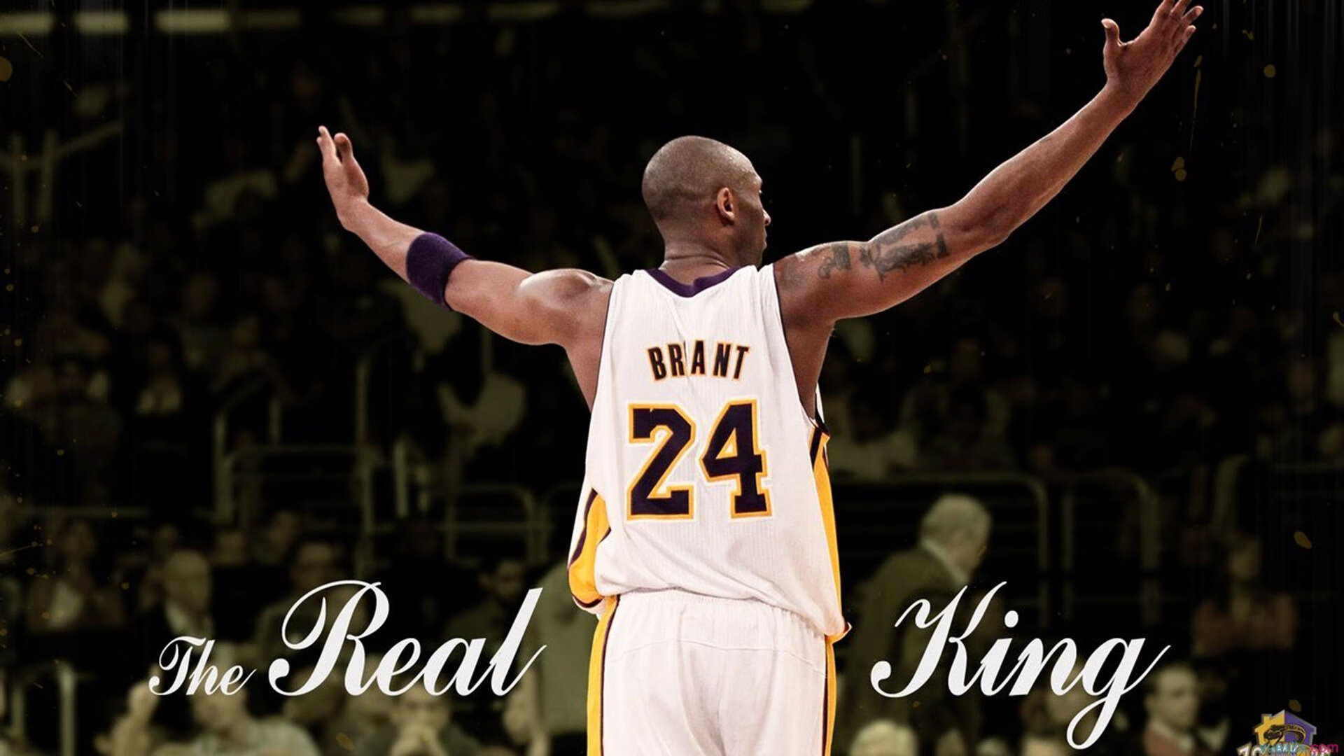 足球类自媒体数量持续增长内容日趋专业，足球新媒体